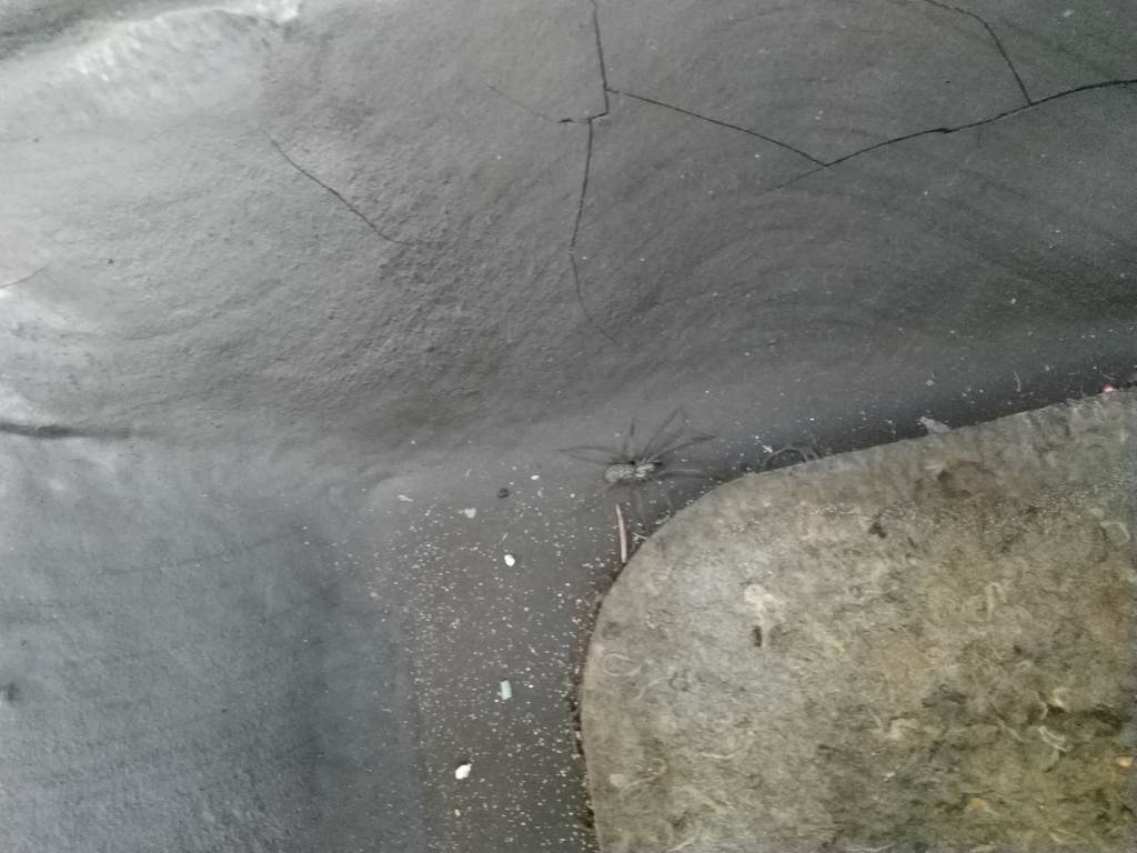 Какой антикор выбрать для авто? какой антикор, антикор выбрать, какой антикор выбрать, какой антикор выбрать для авто